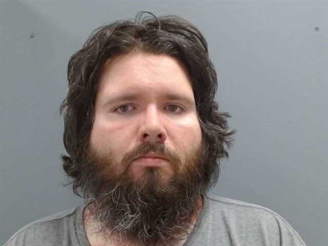 Booking photo of Sean Hamilton