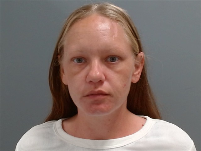 Booking photo of Shelby Sullivan