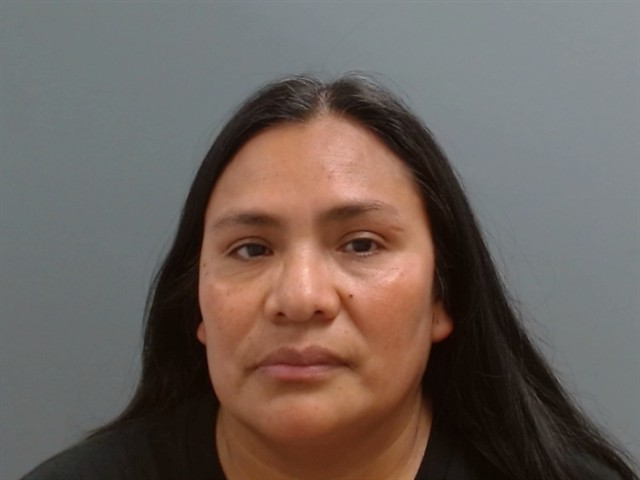 Booking photo of Silvia Perez-mejia