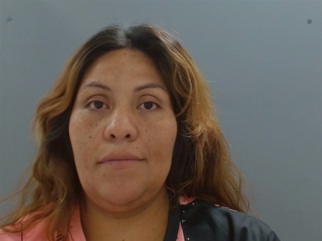Claudia Araujo booking photo