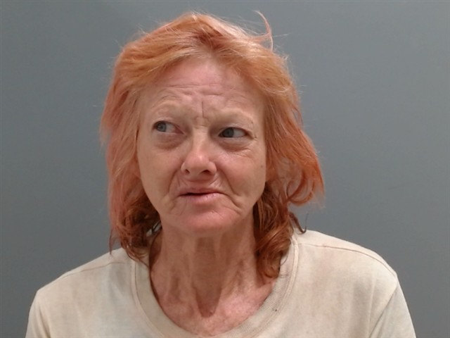 Booking photo of Diane Pierce