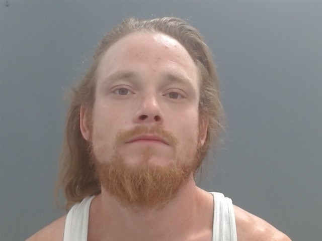 Booking photo of Austin Martin