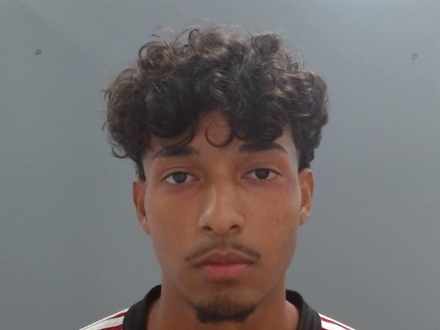 Booking photo of Holger Aviles