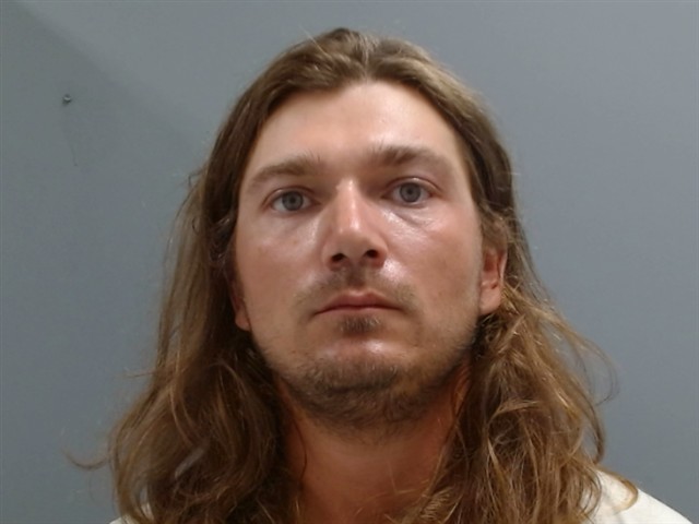 Booking photo of Aaron Hodges
