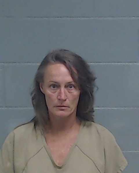 Booking photo of Beleena Pullam