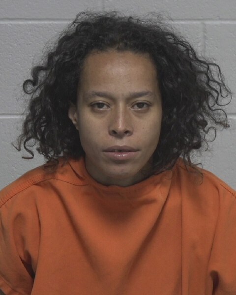 Booking photo of Dannette Davila