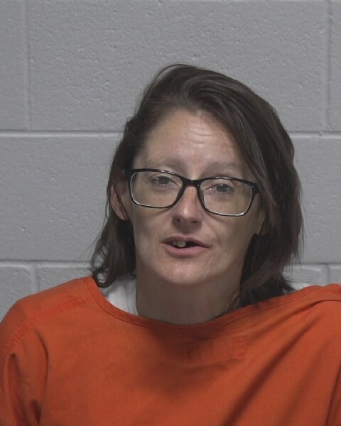 Booking photo of Desiree Faucette