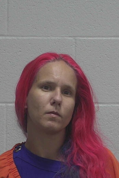 Ariel Paske booking photo