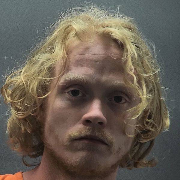 Booking photo of Dylan Wiseman