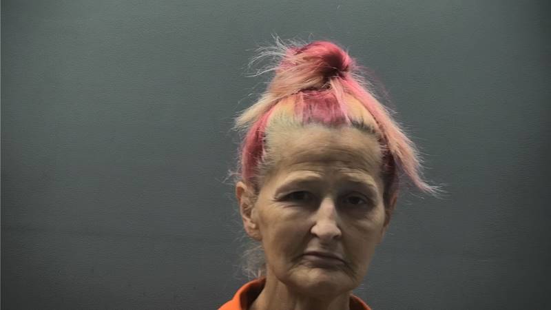 Booking photo of Kristina Whittington