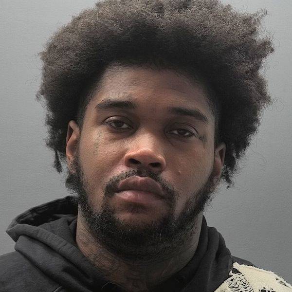 Booking photo of Michael David