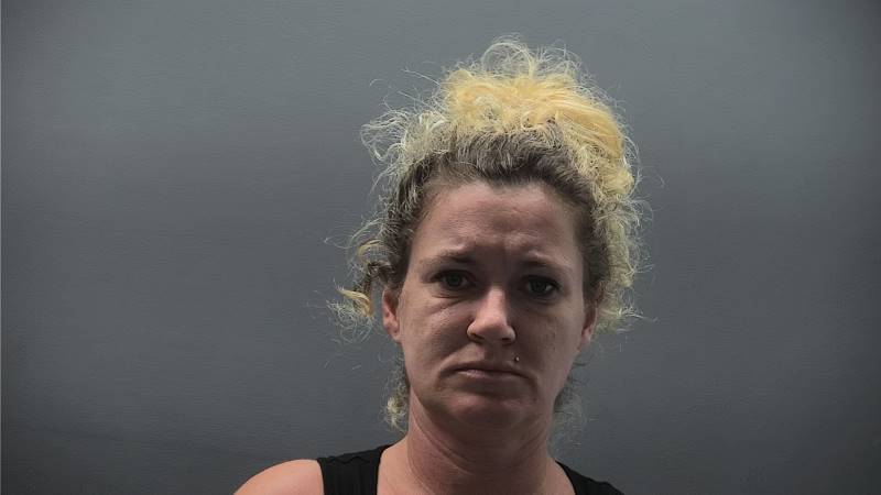 Booking photo of Melissa Scott