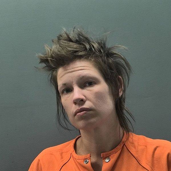 Booking photo of April Cobb