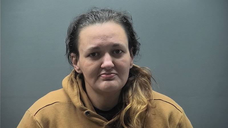 Booking photo of Renee Wells