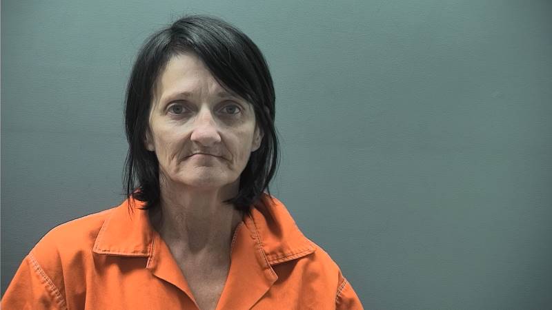 Booking photo of Terri Turner