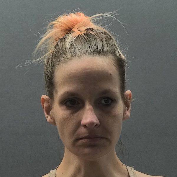 Booking photo of Lisa Stark