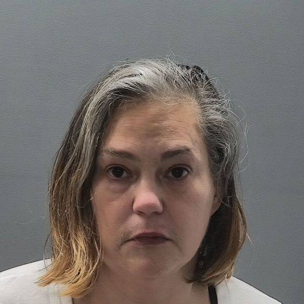 Booking photo of Sara Healey