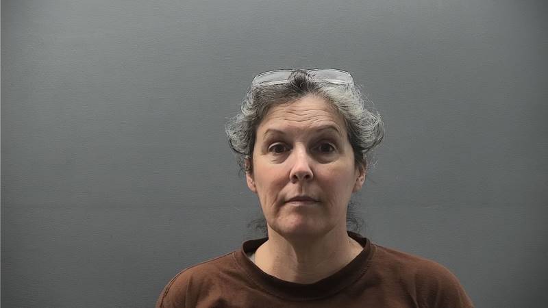 Booking photo of Pamela Fansler