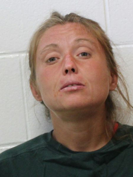 Booking photo of Elise Remington