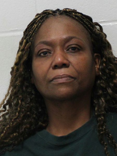 Michele Holmes booking photo