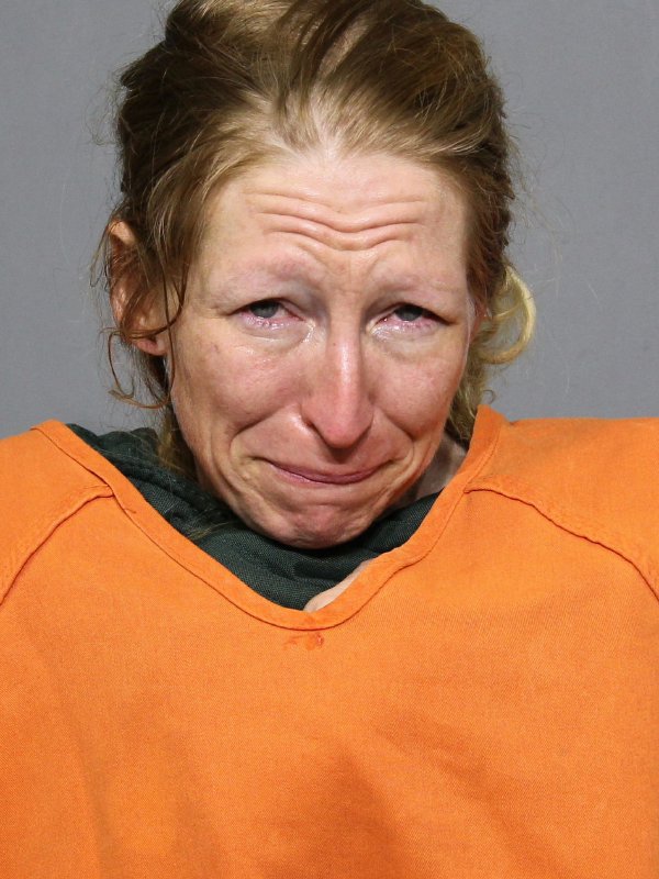 Booking photo of Alyson Rebecca Brookshire