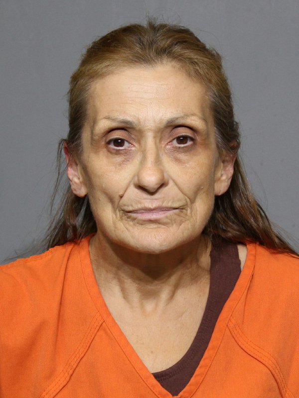 Booking photo of Janice Carole Richards