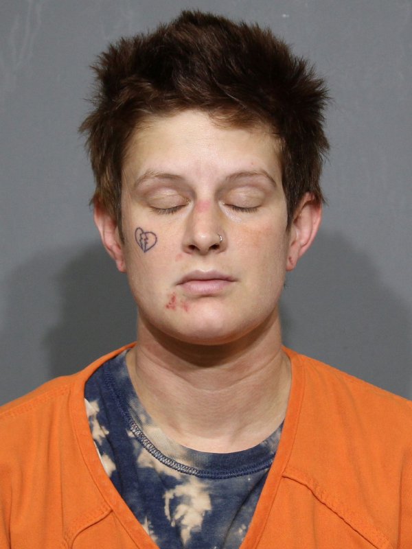 Booking photo of Britlyn Nicole Whisenant