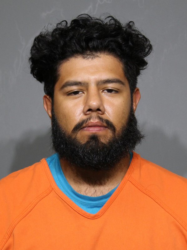 Booking photo of William Enrique Ramirez-martinez
