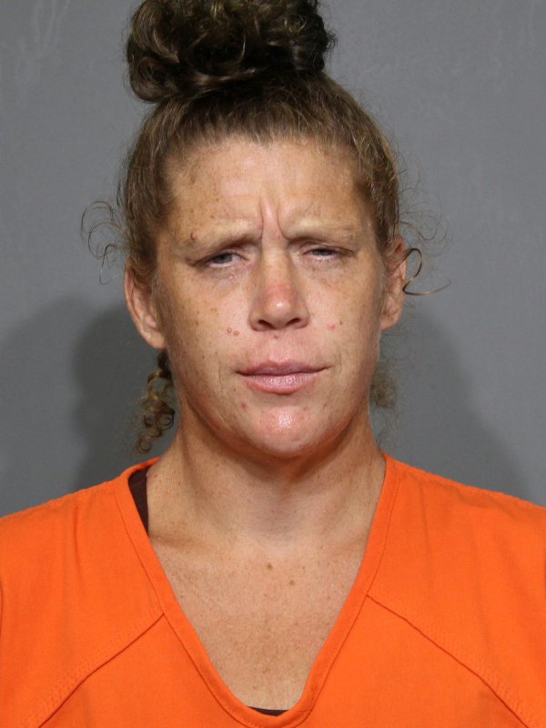 Booking photo of Patricia Alleen Mcdonald