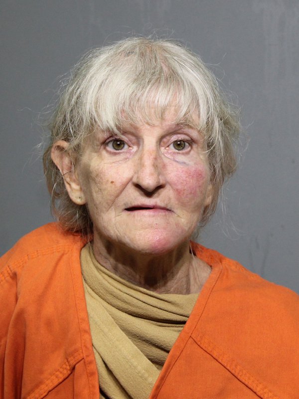 Booking photo of Wendi Ann Grose
