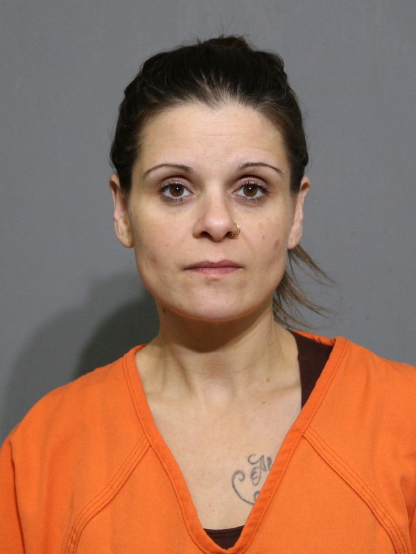 Booking photo of Stephanie Jean Hollins