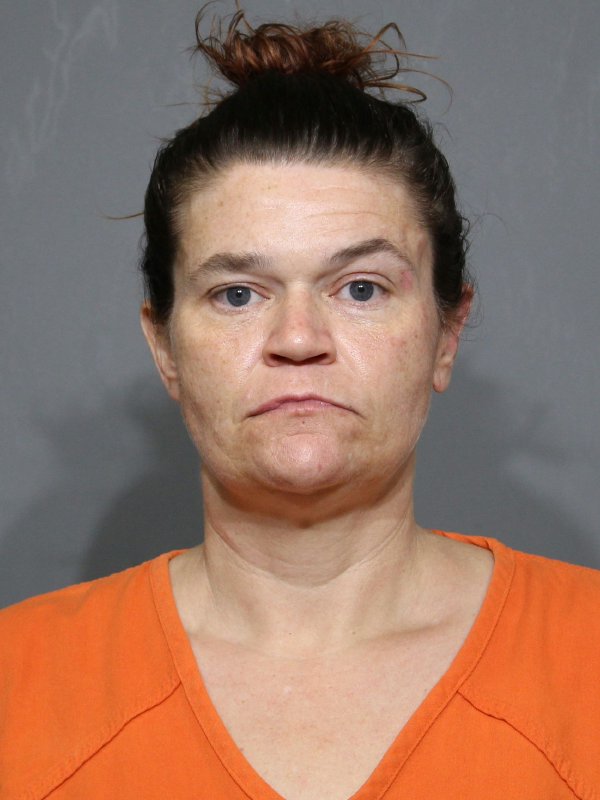Booking photo of Tonya Denise Hinson