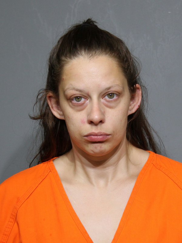 Booking photo of Kara Dawn Miller