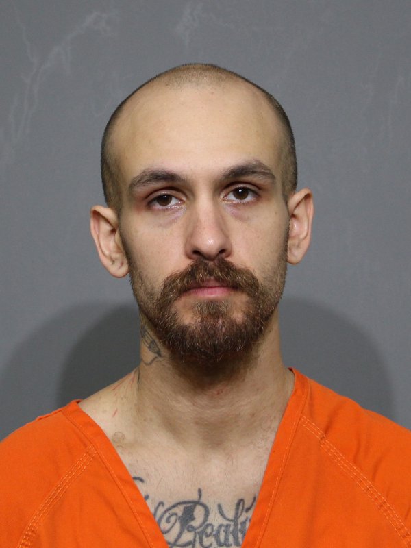 Booking photo of Gavin Lee Johansen