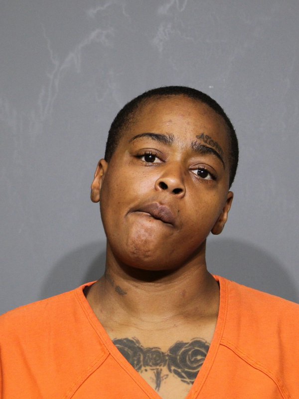 Booking photo of Lametris Raeshawn Turner