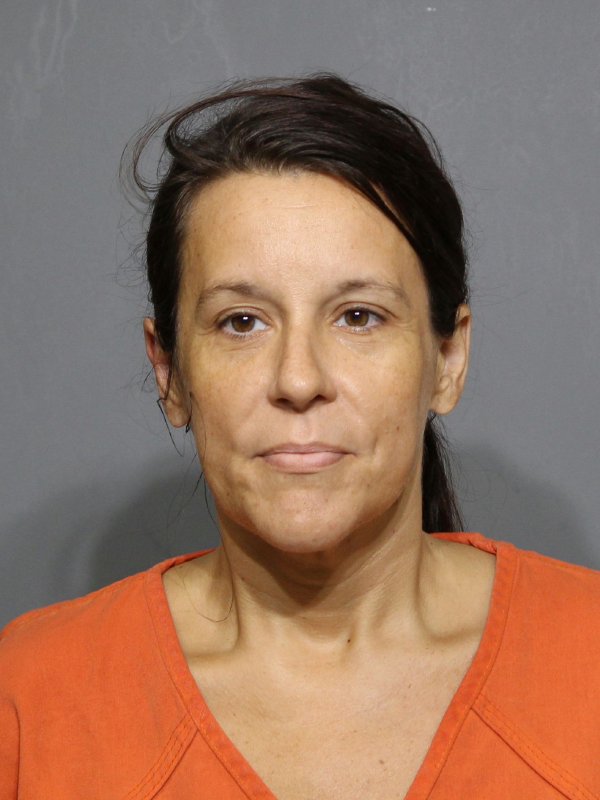 Booking photo of Megan Brooke Williamson