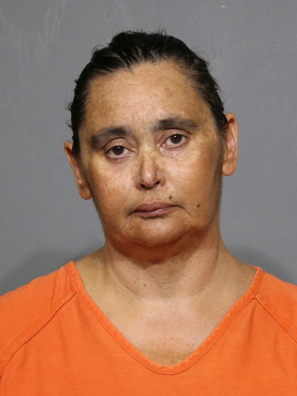 Booking photo of Amy Michelle Henderson