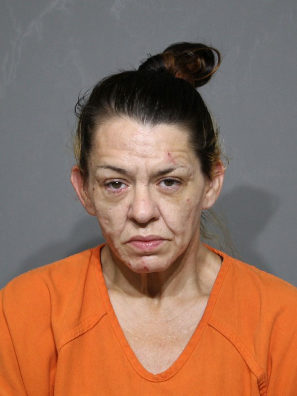 Booking photo of Bridgett Nicole Harden