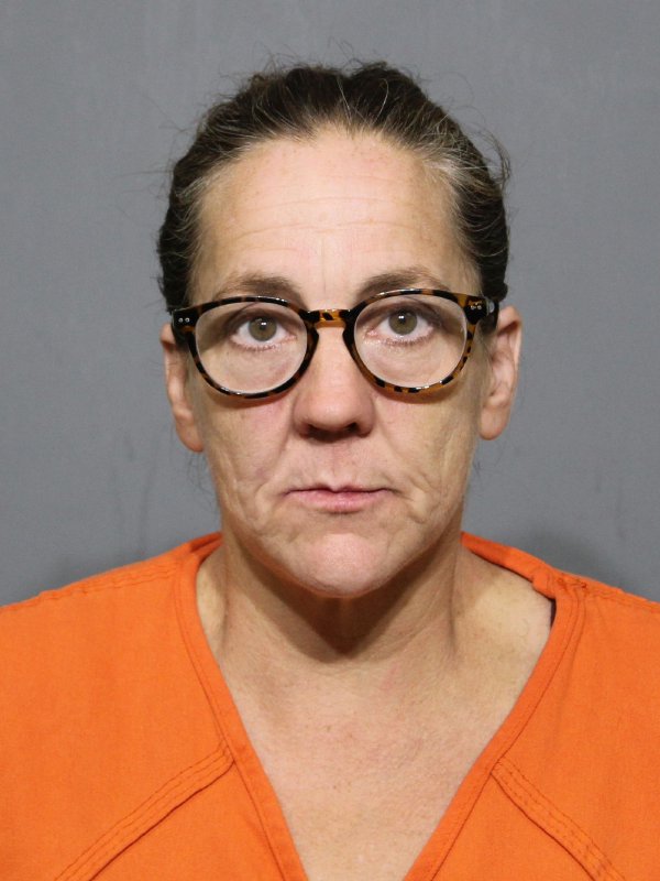 Booking photo of Tonya Lynn Young