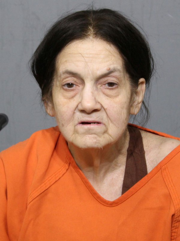 Booking photo of Pamela Gail Beaman