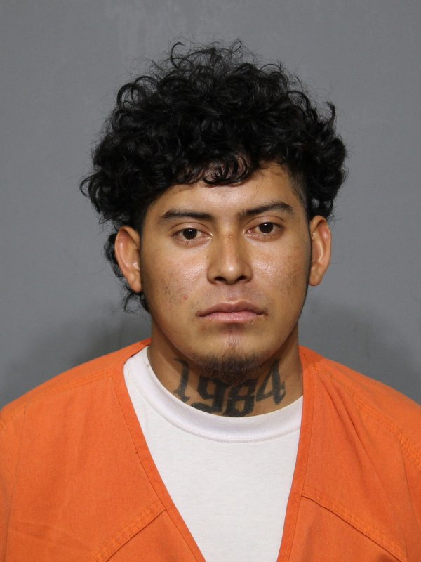 Marco Tulio Vasquez Canales booking photo