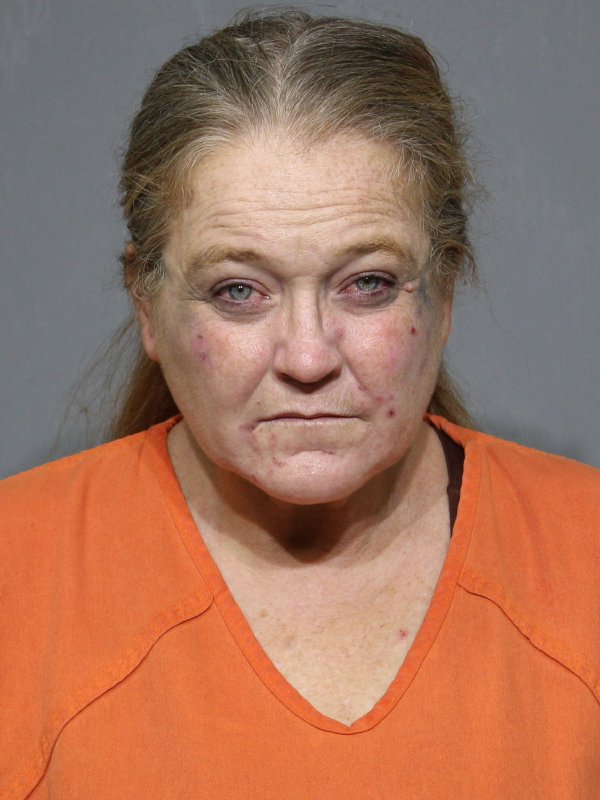 Shannon Elaine Whitlowe booking photo