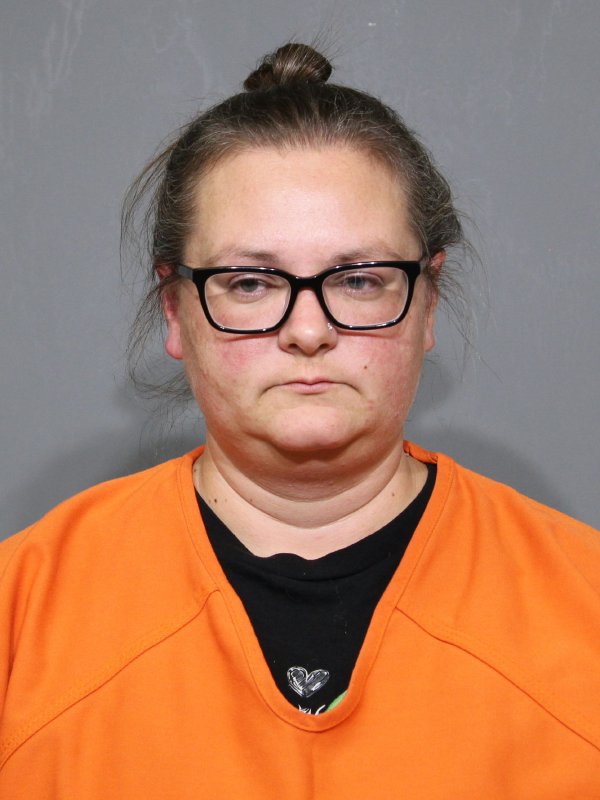 Booking photo of Taea Lynn Homan