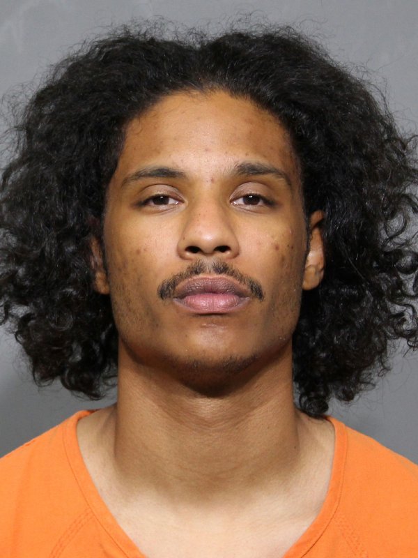 Booking photo of Julian A'cevian Dulin