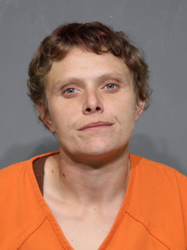 Booking photo of Misty Dawn Rainey