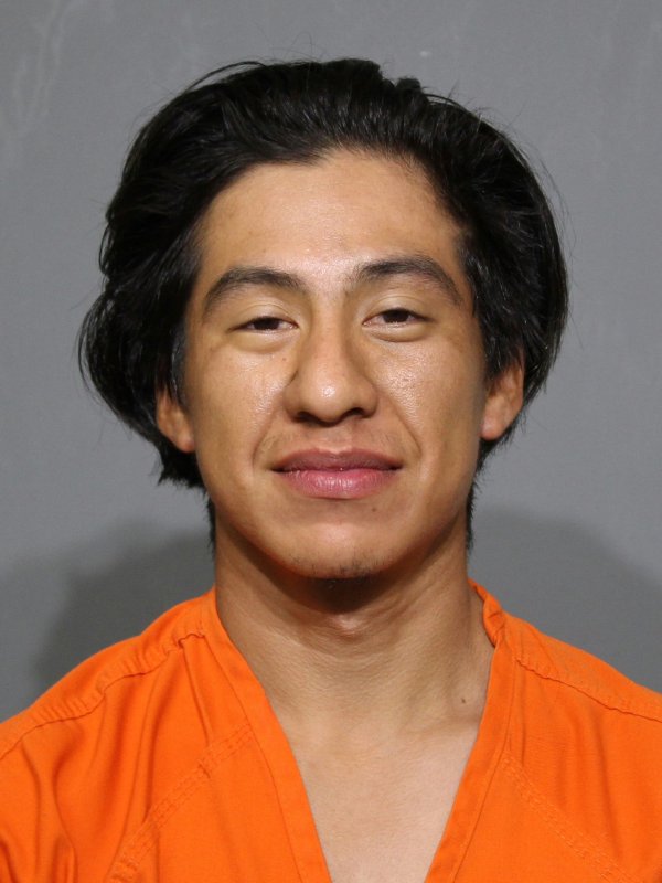 Booking photo of David Javier Roman
