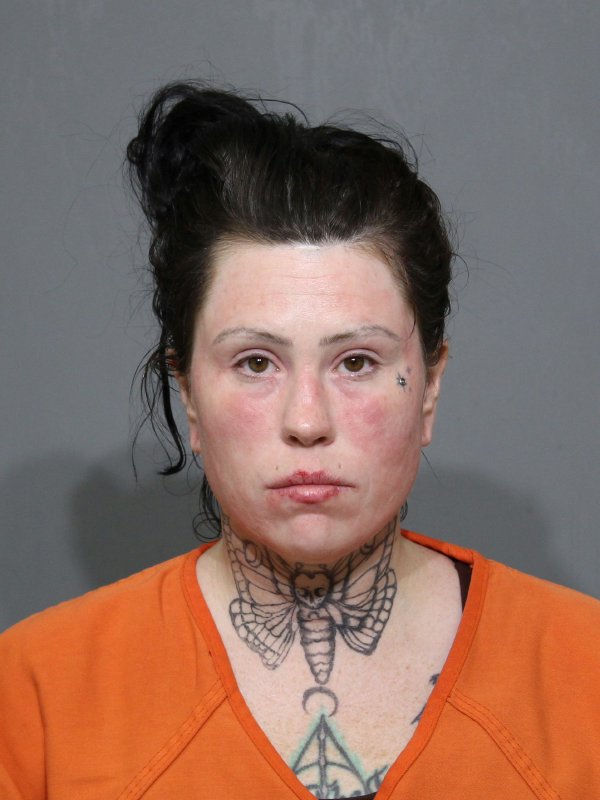 Booking photo of Elaina Renee Mahler